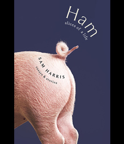 HAM: SLICES OF A LIFE